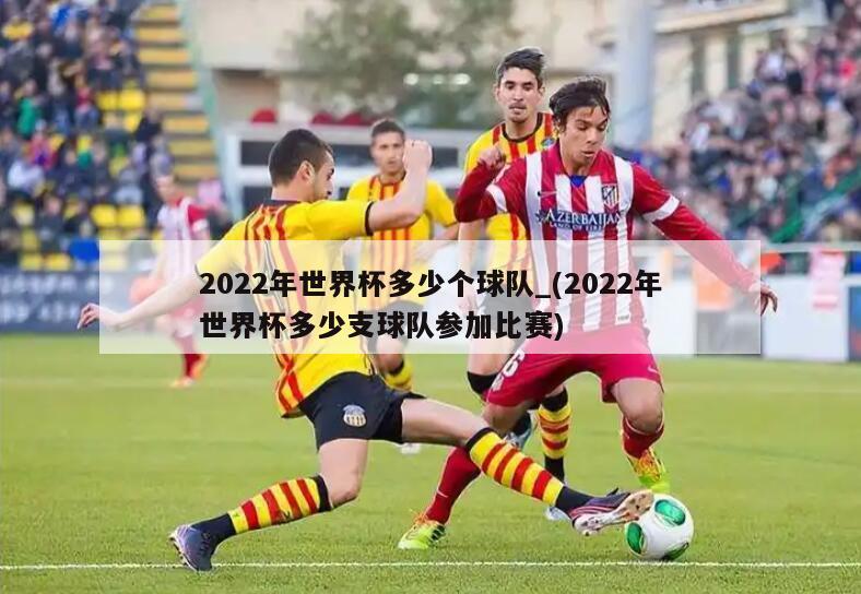 2022年世界杯多少个球队_(2022年世界杯多少支球队参加比赛)