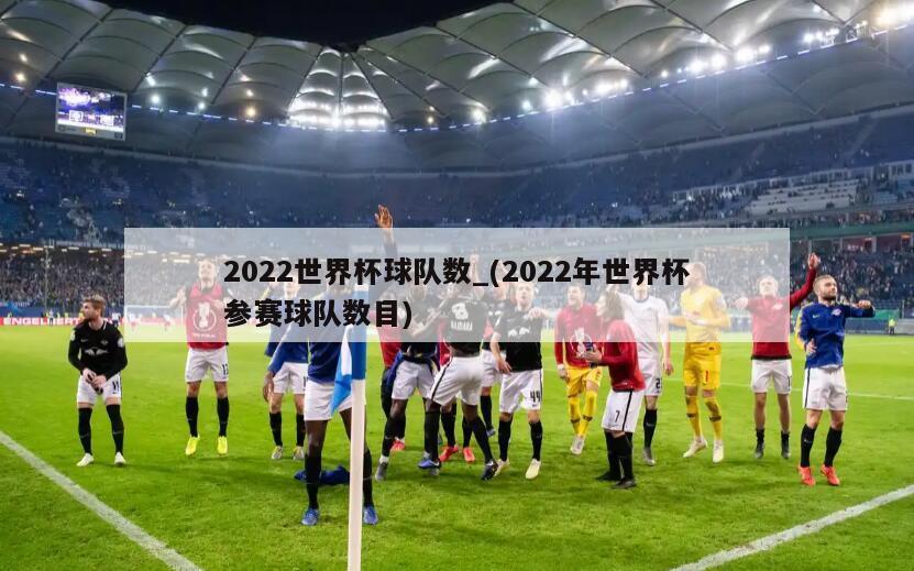 2022世界杯球队数_(2022年世界杯参赛球队数目)