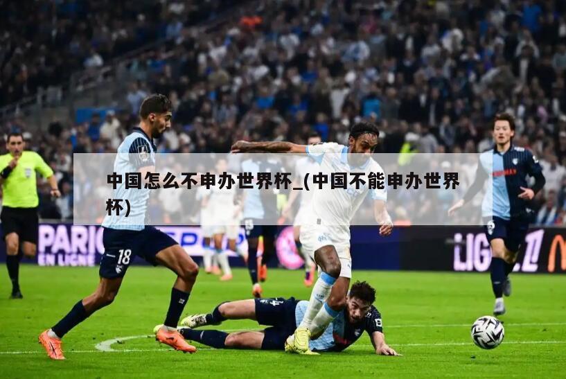 中国怎么不申办世界杯_(中国不能申办世界杯)