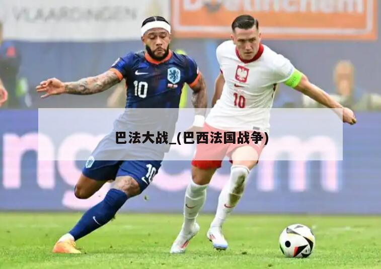 巴法大战_(巴西法国战争)