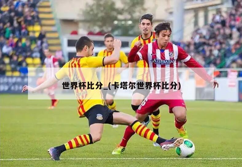 世界杯比分_(卡塔尔世界杯比分)