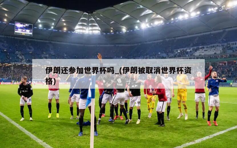 伊朗还参加世界杯吗_(伊朗被取消世界杯资格)