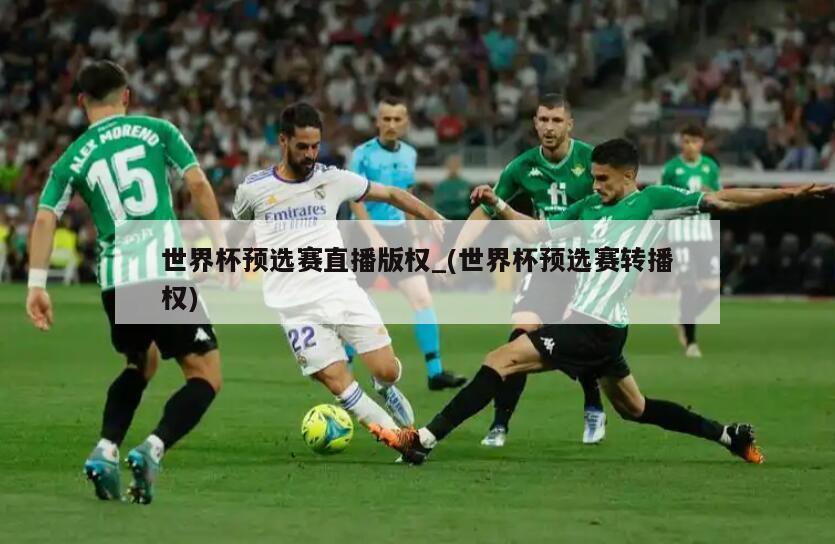世界杯预选赛直播版权_(世界杯预选赛转播权)