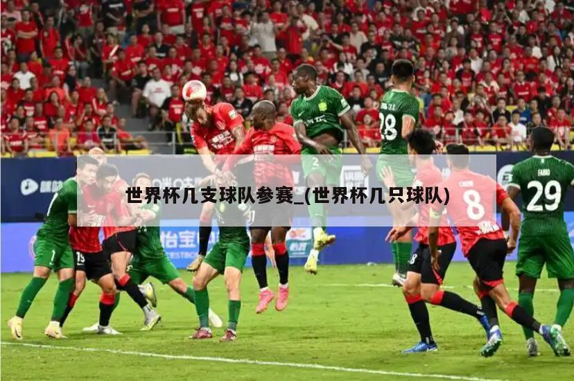 世界杯几支球队参赛_(世界杯几只球队)
