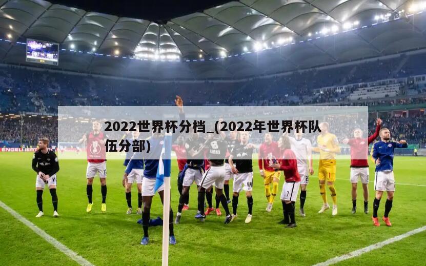2022世界杯分档_(2022年世界杯队伍分部)