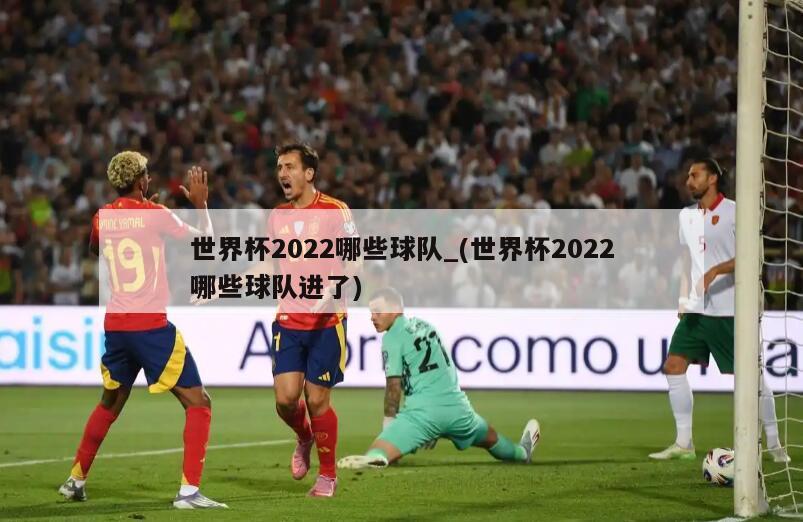 世界杯2022哪些球队_(世界杯2022哪些球队进了)