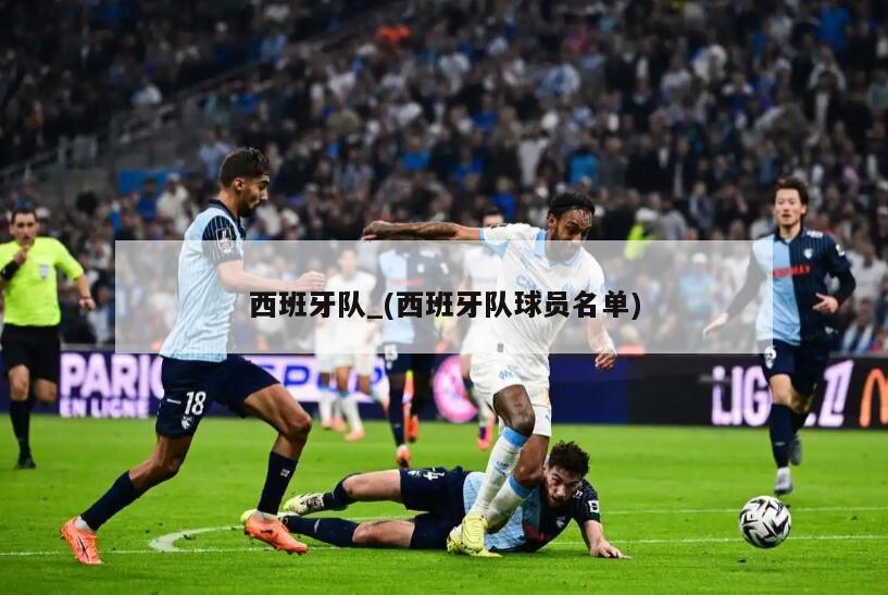 西班牙队_(西班牙队球员名单)