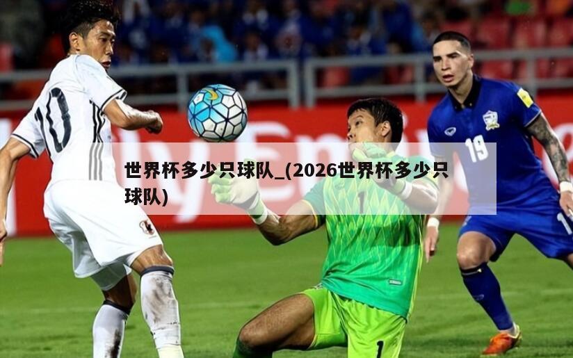 世界杯多少只球队_(2026世界杯多少只球队)