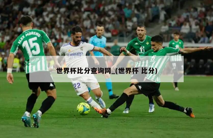 世界杯比分查询网_(世界杯 比分)