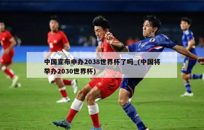 中国宣布申办2038世界杯了吗_(中国将举办2030世界杯)