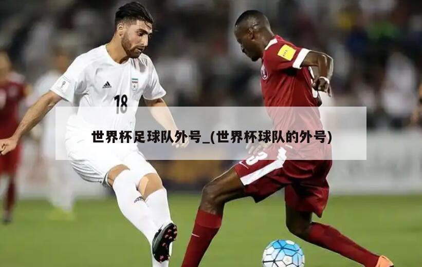 世界杯足球队外号_(世界杯球队的外号)
