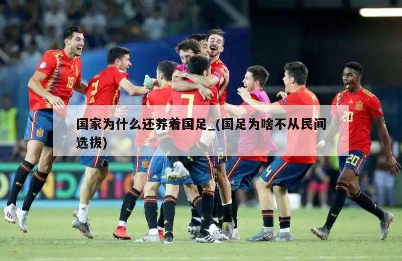 国家为什么还养着国足_(国足为啥不从民间选拔)