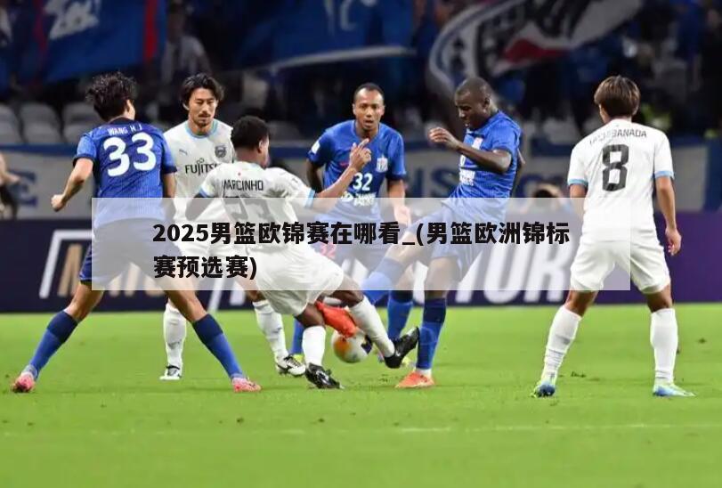 2025男篮欧锦赛在哪看_(男篮欧洲锦标赛预选赛)