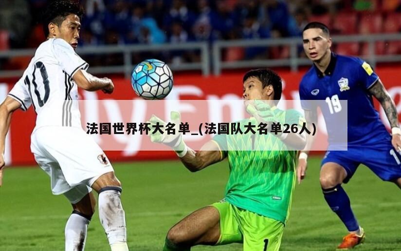 法国世界杯大名单_(法国队大名单26人)