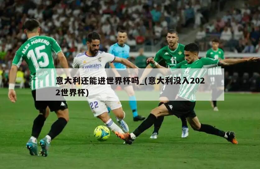 意大利还能进世界杯吗_(意大利没入2022世界杯)